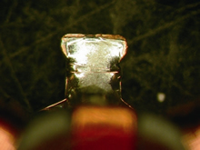 Photo:Coil