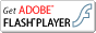 Adobe Flash Player 