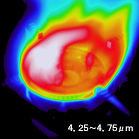 火炎計測用サーモカメラの熱画像（火炎温度を正確に測定できる）