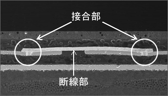 写真：断面写真