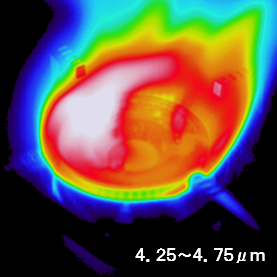 火炎計測用サーモグラフィカメラの熱画像（火炎温度を正確に測定できる）